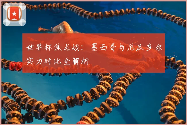 世界杯焦点战：墨西哥与厄瓜多尔实力对比全解析